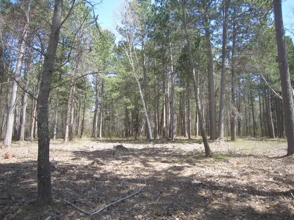 Lot 3 Pike Bay LOOP NW, Cass Lake, MN 56633