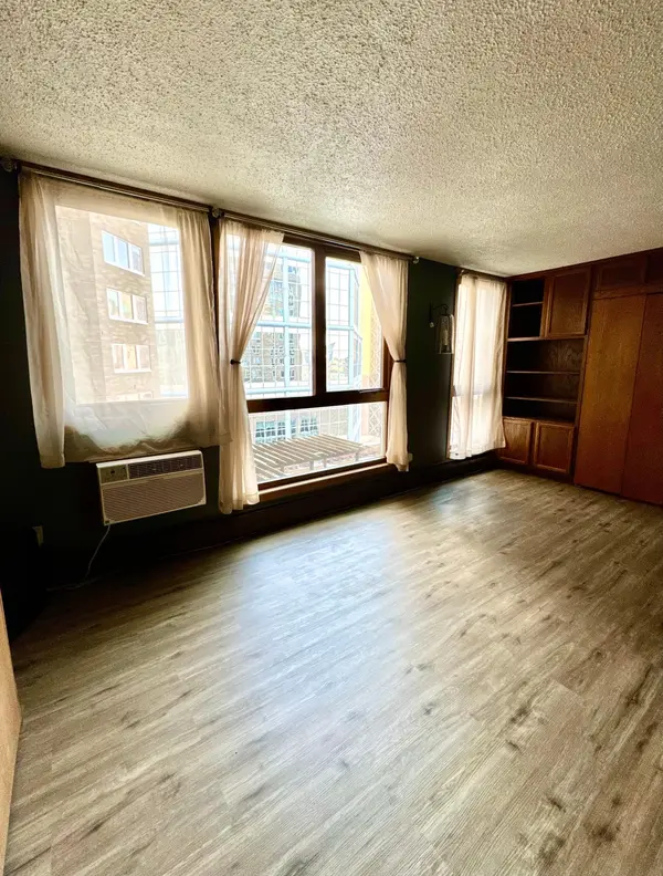 433 S 7th ST #1711, Minneapolis, MN 55415