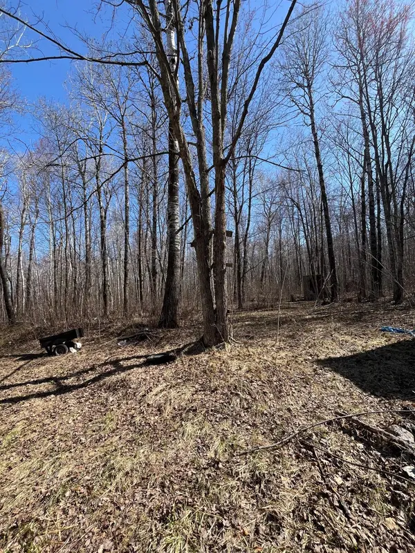1 TBD, Hinckley Twp, MN 55037