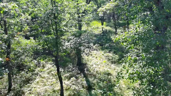 30057 Crystal Lake DR, Webster, WI 54893