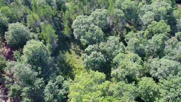 30057 Crystal Lake DR, Webster, WI 54893