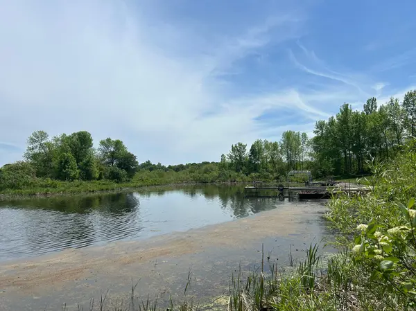 187XX Harbor DR, Garrison, MN 56450
