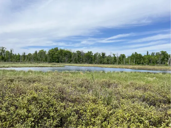 13384 Sorenson Lake RD, Merrifield, MN 56465
