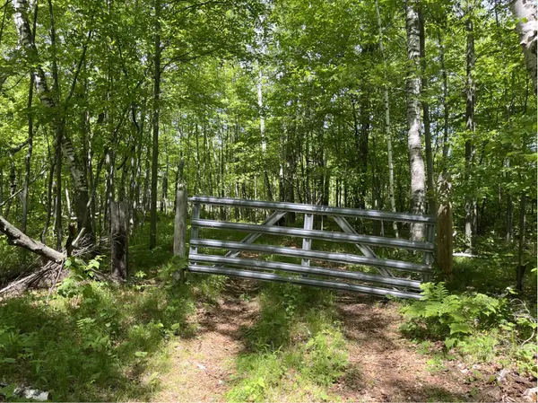 13384 Sorenson Lake RD, Merrifield, MN 56465