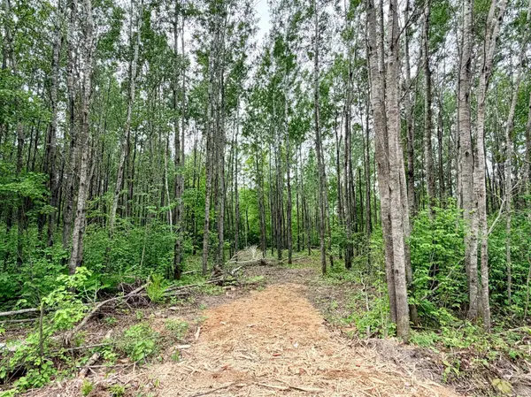 TBD Half Moon Rd, Park Rapids, MN 56470