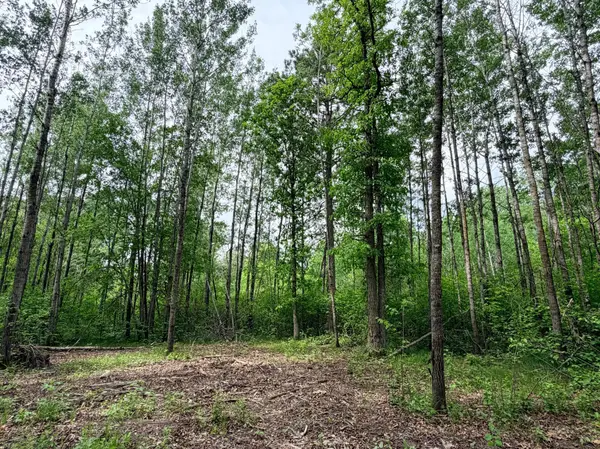 TBD Half Moon Rd, Park Rapids, MN 56470