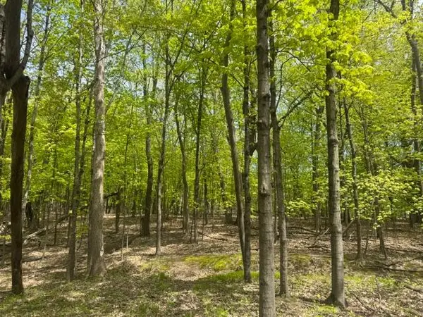 TBD Maple View CT, Excelsior, MN 55331