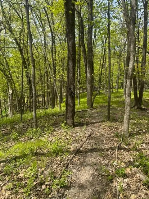 TBD Maple View CT, Excelsior, MN 55331
