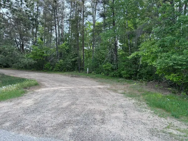 TBD Front Street, Pine River, MN 56474