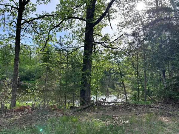 TBD Front Street, Pine River, MN 56474