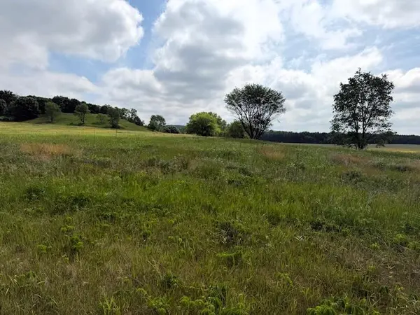Lot 2 County Rd F, Boyceville, WI 54725