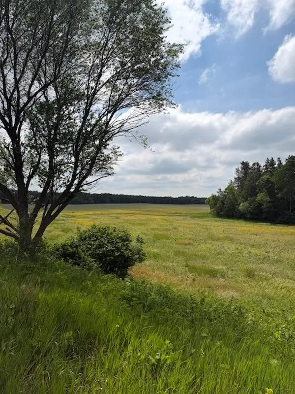 Lot 2 County Rd F, Boyceville, WI 54725