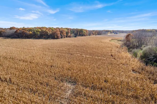 71xxx 165th AVE SE, Becker Twp, MN 55308