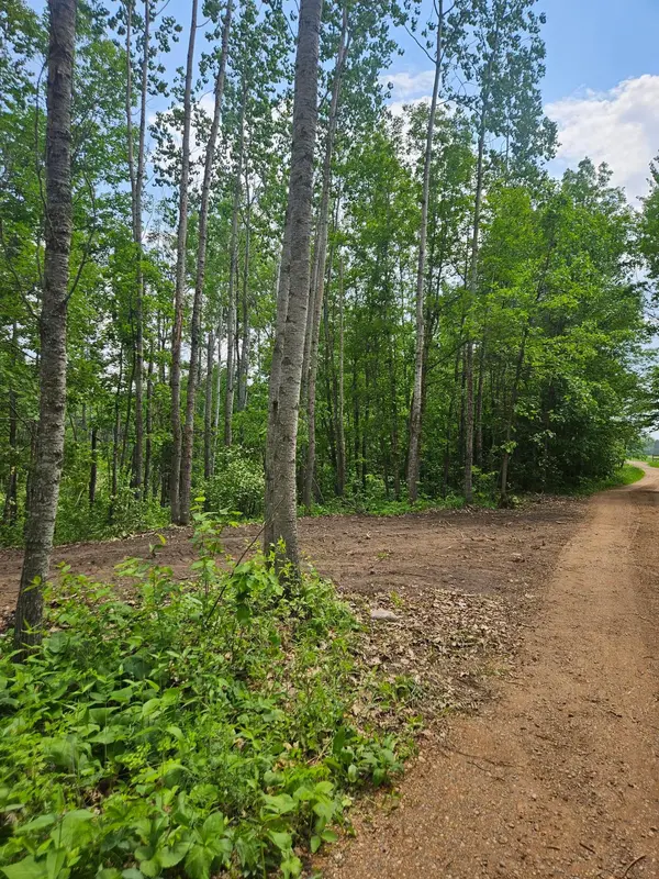 Parcel E Rogue WAY, Ironton, MN 56455