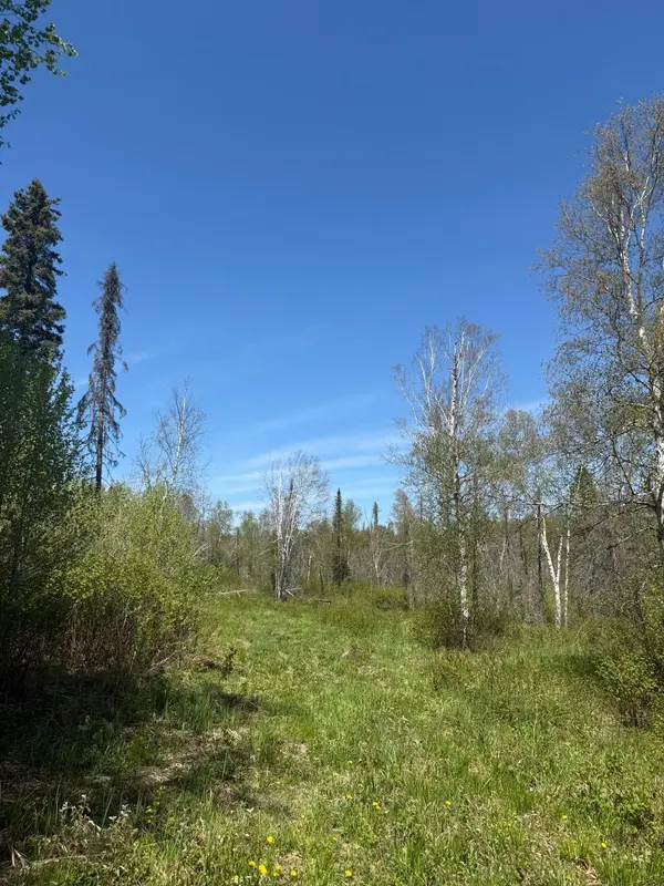 TBD Crown Creek Spur Rd, Finland, MN 55603