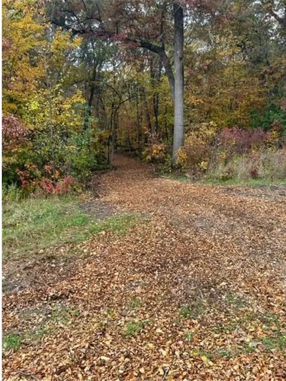 Lot 4 Tiger ST NW, Princeton, MN 55371