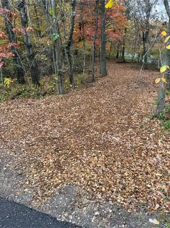 Lot 4 Tiger ST NW, Princeton, MN 55371