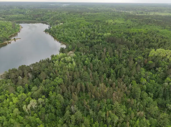 TBD 290th ST, Park Rapids, MN 56470