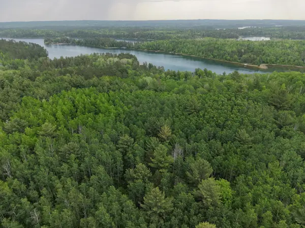 TBD 290th ST, Park Rapids, MN 56470