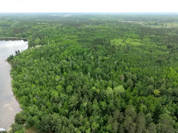 TBD 290th ST, Park Rapids, MN 56470