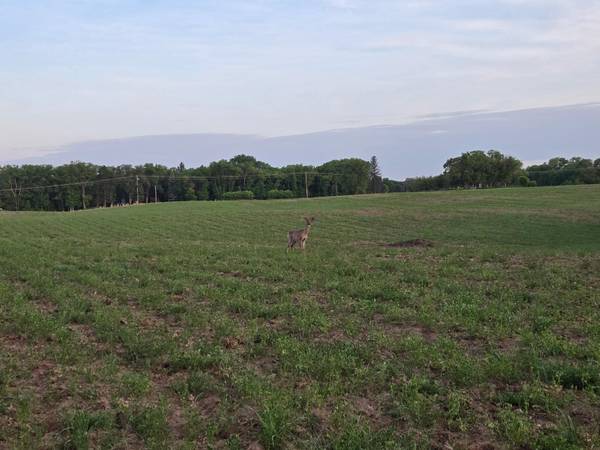 TBD Parcel B County Rd 5 NW, Princeton, MN 55371