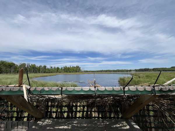 13384 Sorenson Lake RD, Merrifield, MN 56465