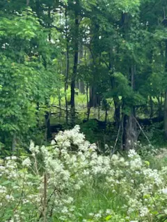4188 161st LN NE, Ham Lake, MN 55304