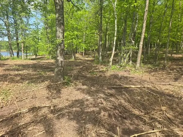 Lot 4 County Road 30, Crosby, MN 56441