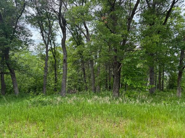 TBD Pawnee, Breezy Point, MN 56472