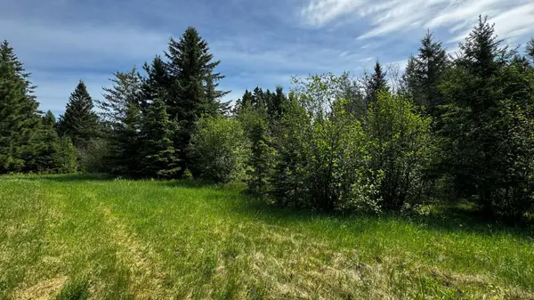TBD-B HWY 169, Virginia, MN 55792
