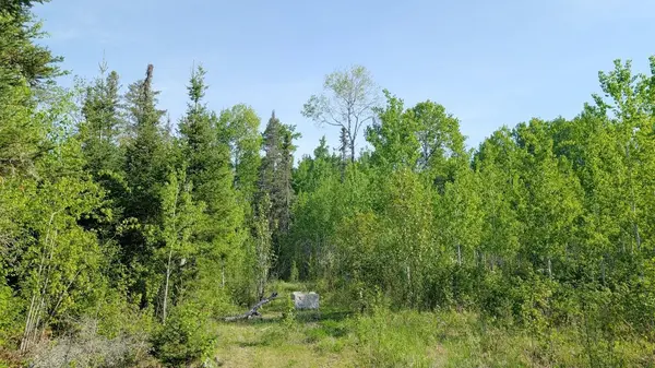 7573 Thumbnail DR, Embarrass, MN 55732