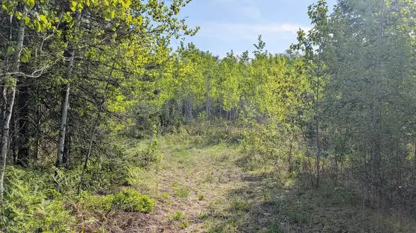 7573 Thumbnail DR, Embarrass, MN 55732