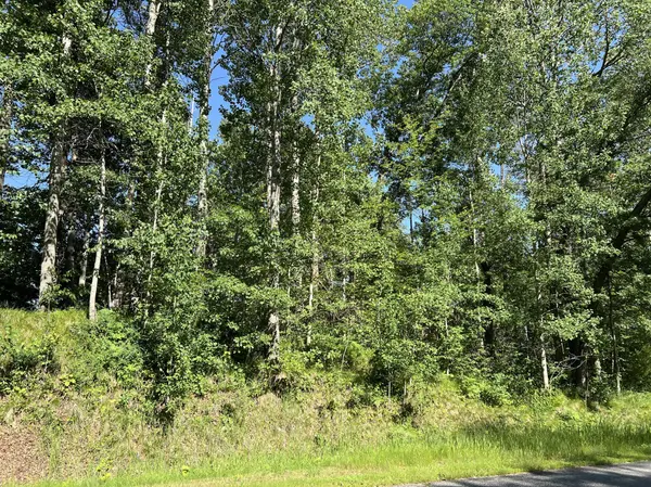 Lot 8 Terminal RD, Breezy Point, MN 56472