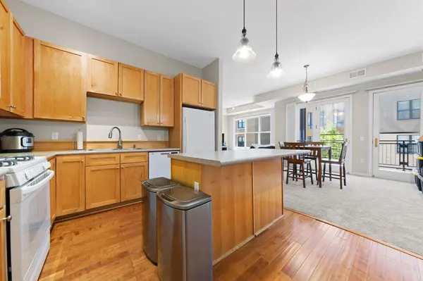 209 8th ST E #305, Saint Paul, MN 55101