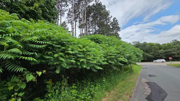 TBD Uplander ST NW, Andover, MN 55304