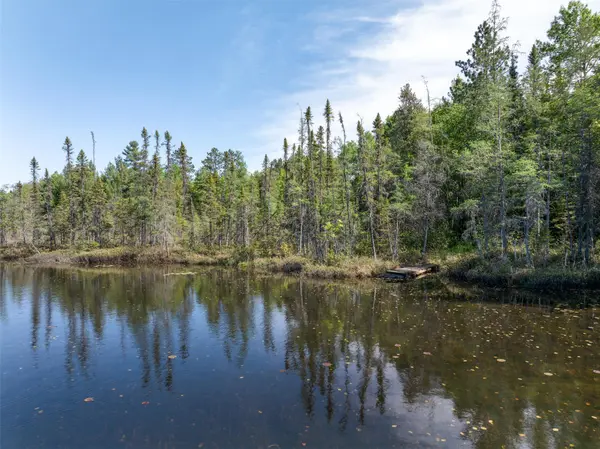 9064 Peppard RD, Britt, MN 55710