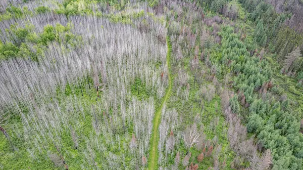 1249 Gabbro RD, Brimson, MN 55602