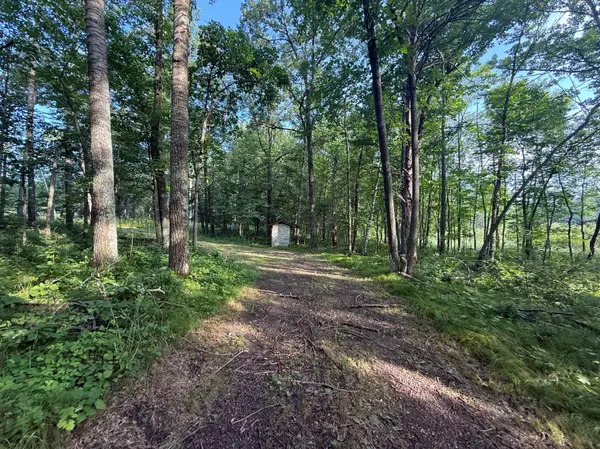 TBD CR-109, Merrifield, MN 56465