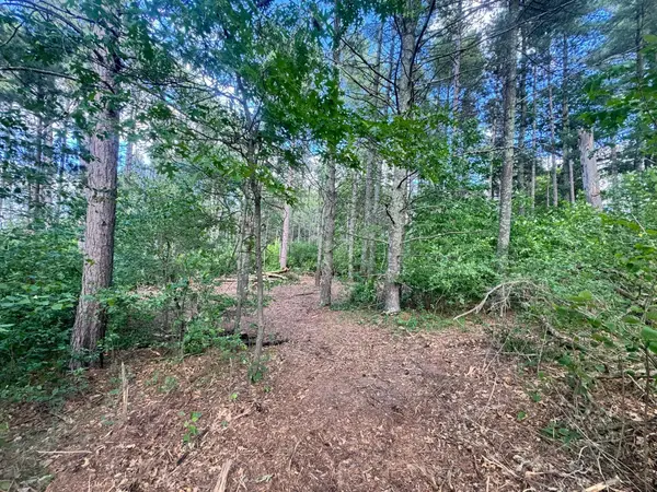 TBD Tract 1 County 13, Nevis, MN 56467