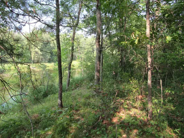 LOTS 5-11 TBD FRONT STREET FRONT STREET, Pine River, MN 56474