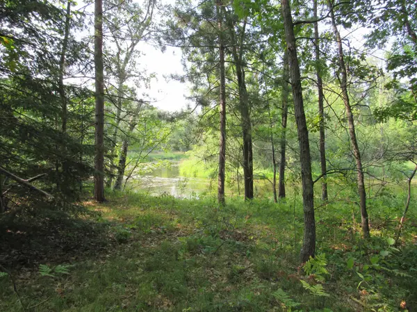 LOTS 5-11 TBD FRONT STREET FRONT STREET, Pine River, MN 56474