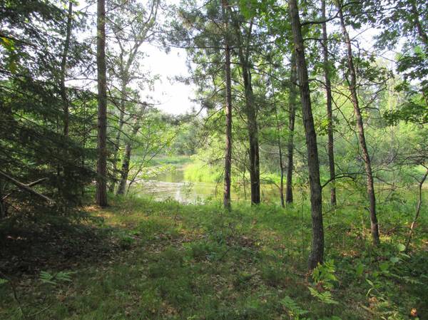 LOTS 5-11 TBD FRONT STREET FRONT STREET, Pine River, MN 56474