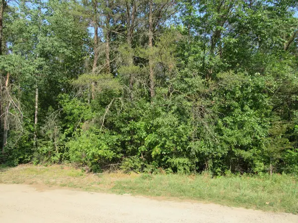 LOTS 5-11 TBD FRONT STREET FRONT STREET, Pine River, MN 56474