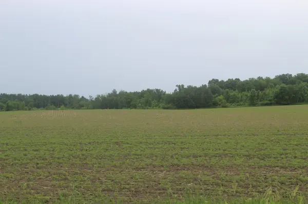 TBD-1 120th AVE, Ogilvie, MN 56358
