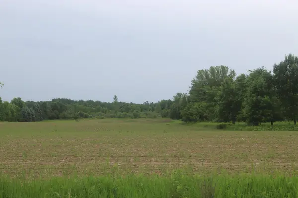 TBD-1 120th AVE, Ogilvie, MN 56358