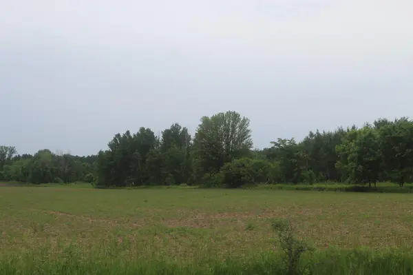 TBD-1 120th AVE, Ogilvie, MN 56358