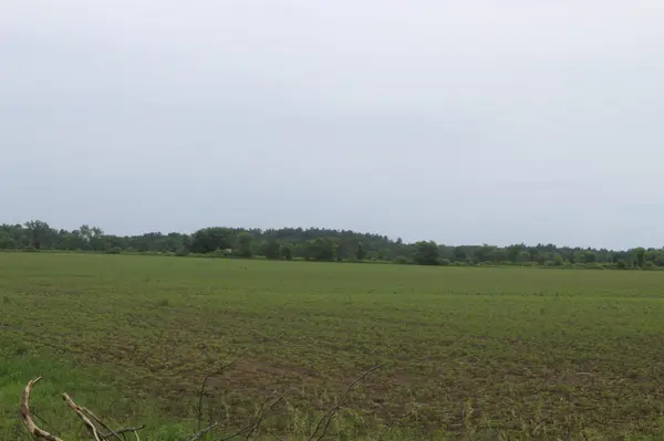 1021 120th AVE, Ogilvie, MN 56358
