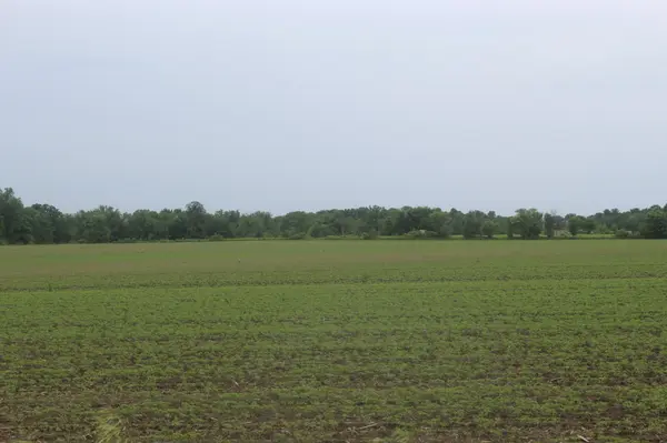 1021 120th AVE, Ogilvie, MN 56358