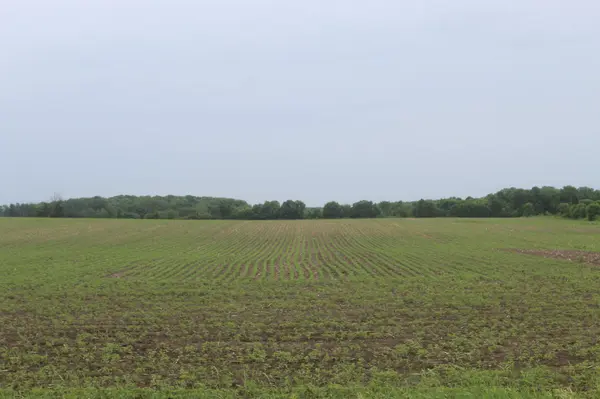 TBD-2 120th AVE, Ogilvie, MN 56358