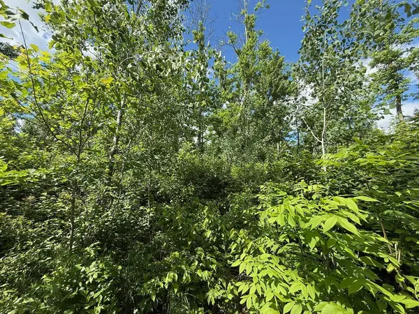63872 Kingsdale RD, Sandstone, MN 55072